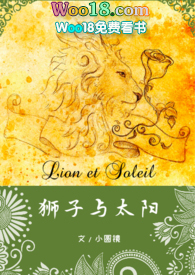 《狮子与太阳》小说